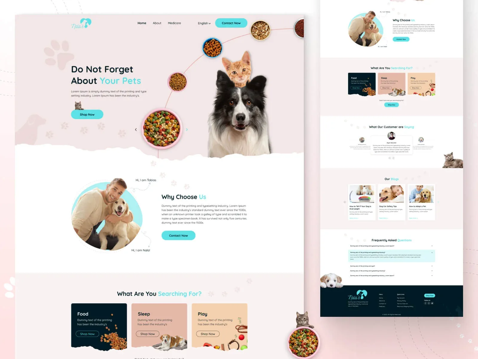 portfolio-6